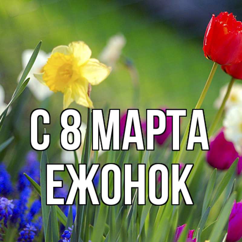 Картинка C 8 МАРТА, Ежонок
