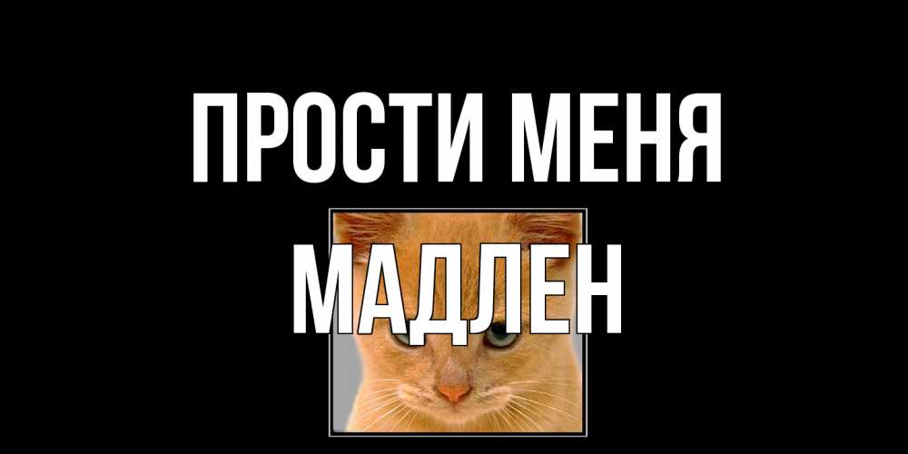 Открытка на каждый день с именем, Мадлен Прости меня рыжий грустный кот просит прощения Прикольная открытка с пожеланием онлайн скачать бесплатно 