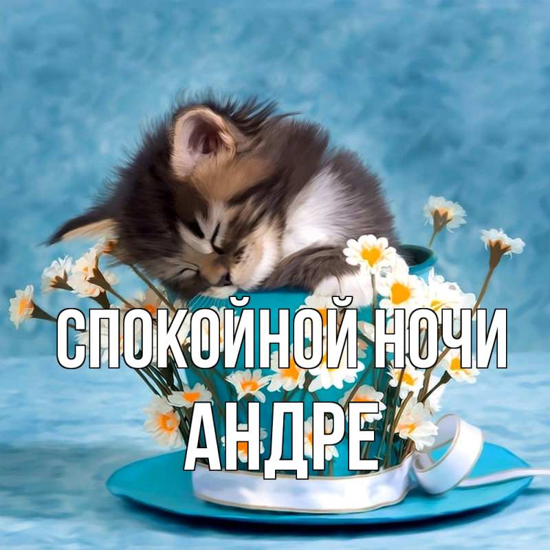 Картинка Спокойной ночи, Андре