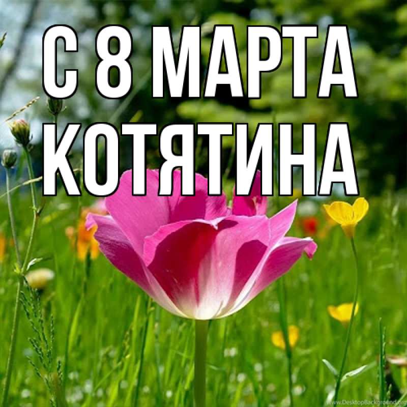 Картинка C 8 МАРТА, Котятина