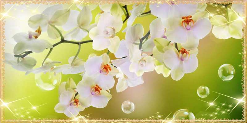 Картинка C 8 МАРТА, Мира