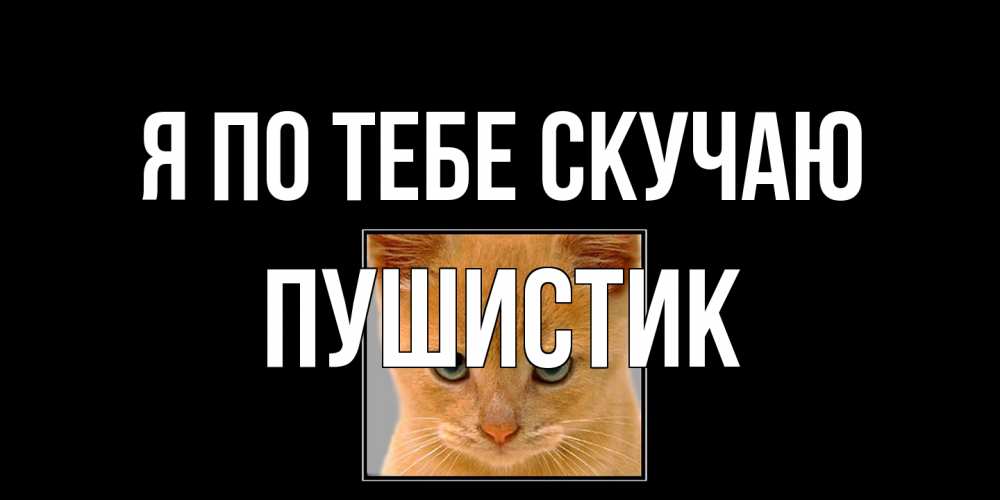 Открытка на каждый день с именем, Пушистик Я по тебе скучаю открытки рыжий котенок скучает по тебе Прикольная открытка с пожеланием онлайн скачать бесплатно 