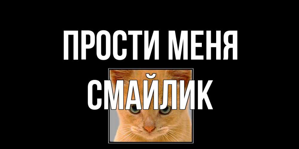 Открытка на каждый день с именем, Смайлик Прости меня рыжий грустный кот просит прощения Прикольная открытка с пожеланием онлайн скачать бесплатно 