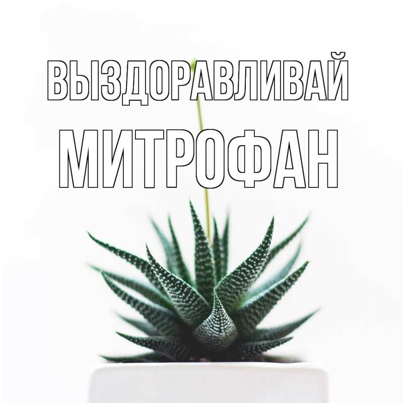 Картинка Выздоравливай, Митрофан