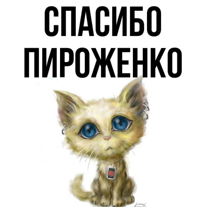 Картинка Спасибо, Пироженко