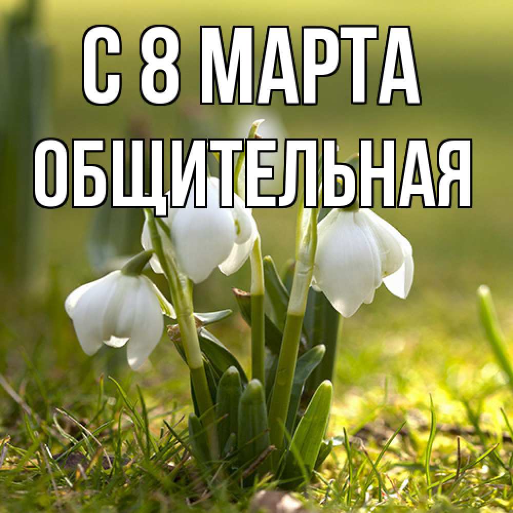 Открытка на каждый день с именем, Общительная C 8 МАРТА ранние цветы 2 Прикольная открытка с пожеланием онлайн скачать бесплатно 