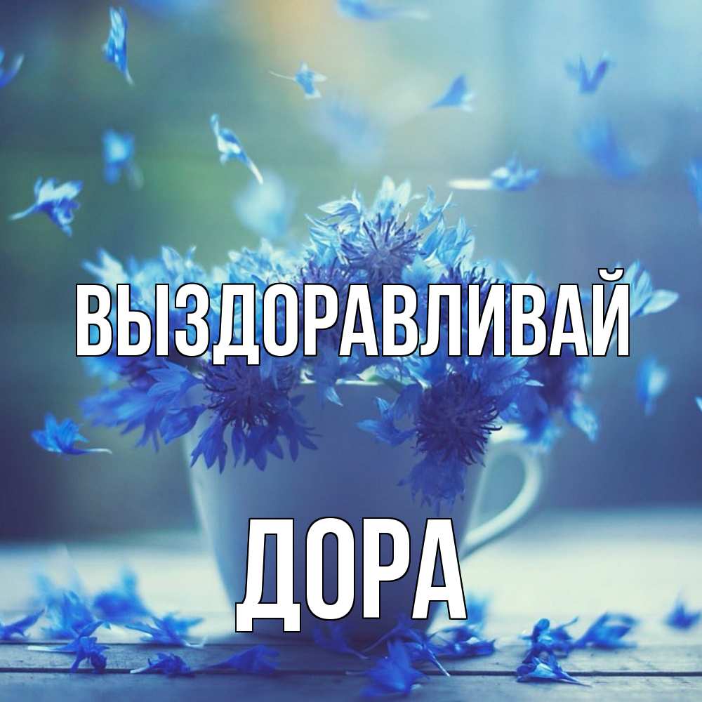 Открытка на каждый день с именем, Дора Выздоравливай кружка с зельем и цветами Прикольная открытка с пожеланием онлайн скачать бесплатно 