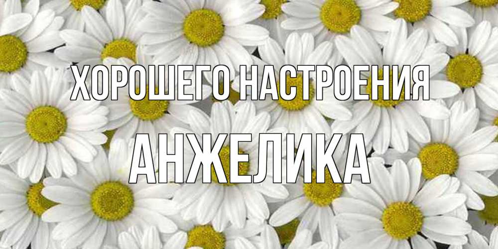 Открытка на каждый день с именем, Анжелика Хорошего настроения поляна ромашек Прикольная открытка с пожеланием онлайн скачать бесплатно 