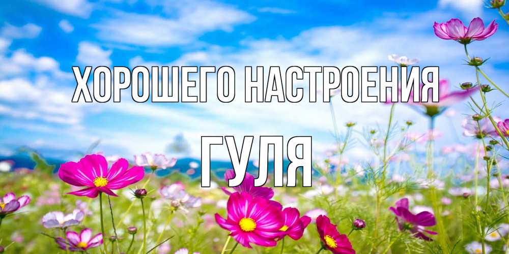 Открытка на каждый день с именем, Гуля Хорошего настроения поле цветов Прикольная открытка с пожеланием онлайн скачать бесплатно 