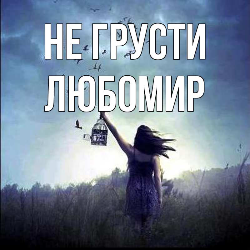 Картинка Не грусти, Любомир