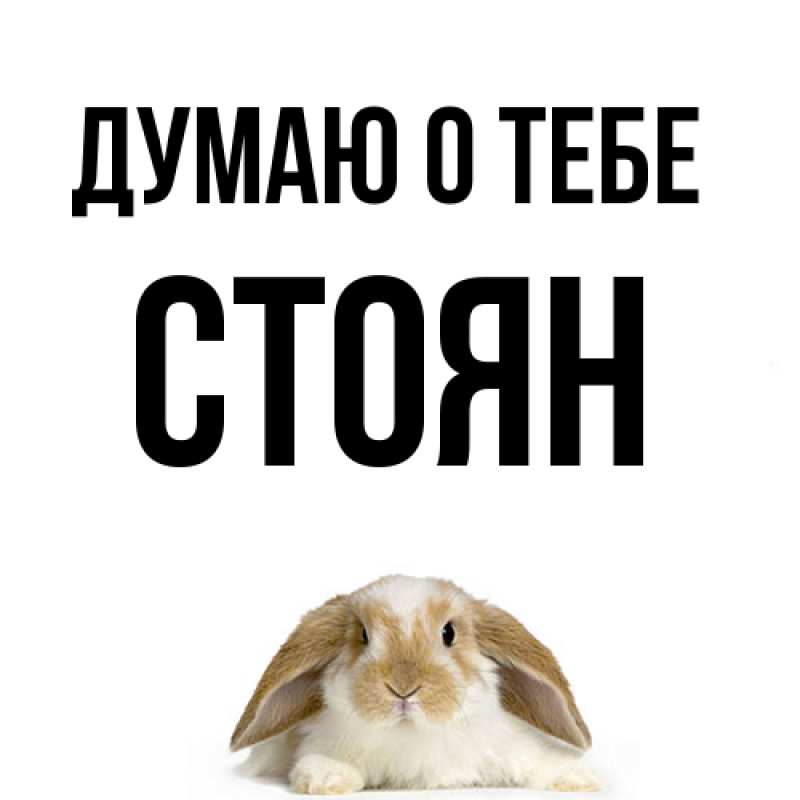 Картинка Думаю о тебе, Стоян