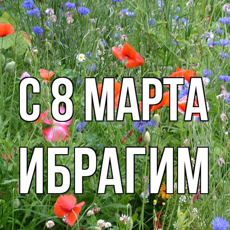 Картинка C 8 МАРТА, Ибрагим