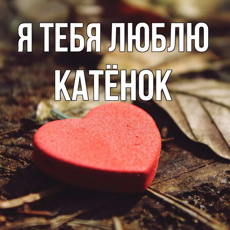 Картинка Я тебя люблю, Катёнок