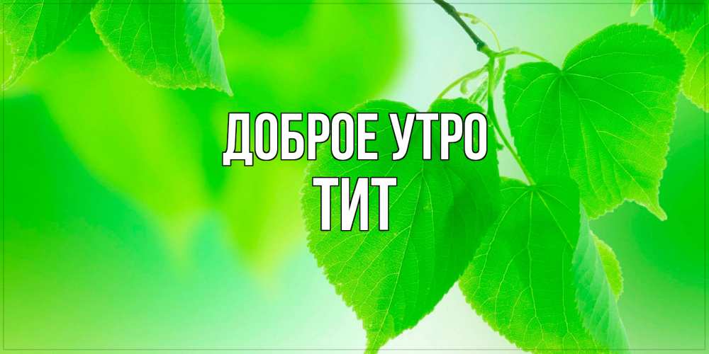 Открытка на каждый день с именем, Тит Доброе утро доброе утро с березовыми листьями Прикольная открытка с пожеланием онлайн скачать бесплатно 