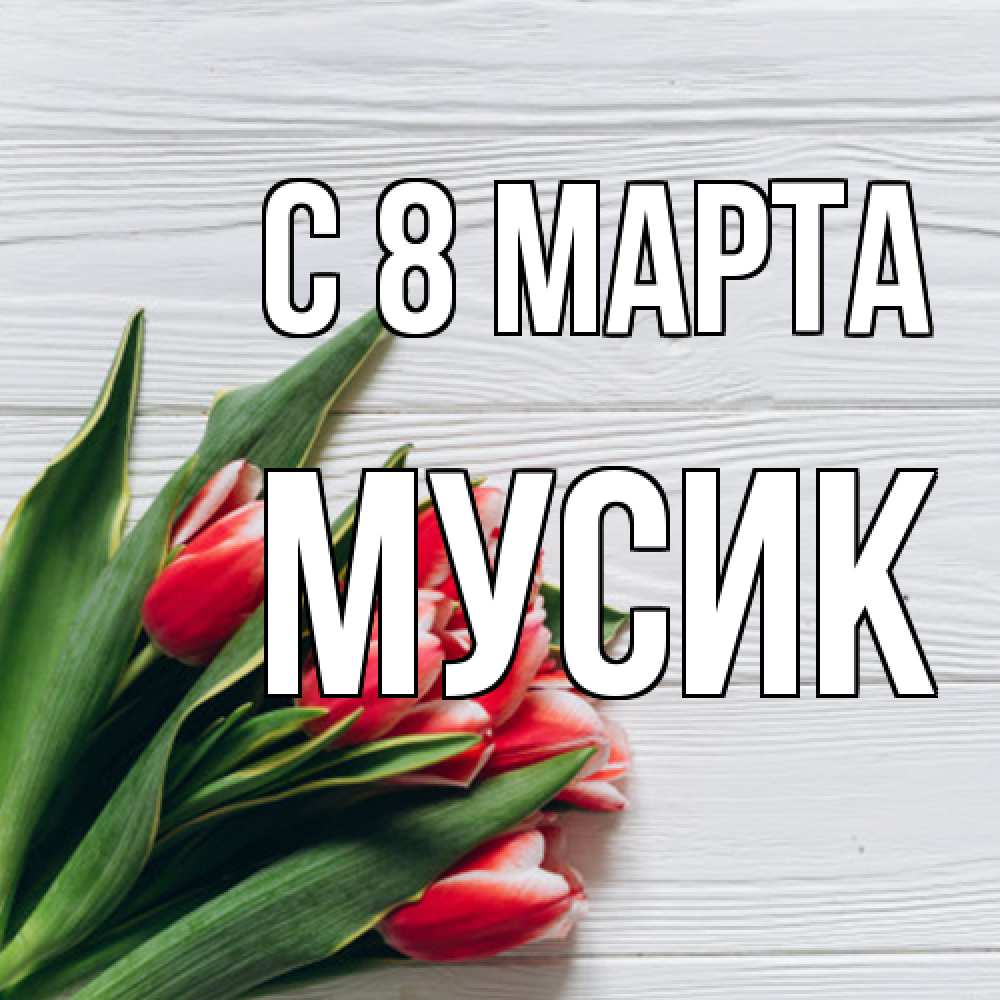 Открытка на каждый день с именем, мусик C 8 МАРТА весна 2 Прикольная открытка с пожеланием онлайн скачать бесплатно 