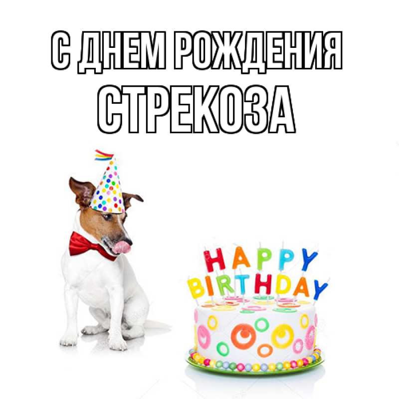 Картинка С днем рождения, Стрекоза