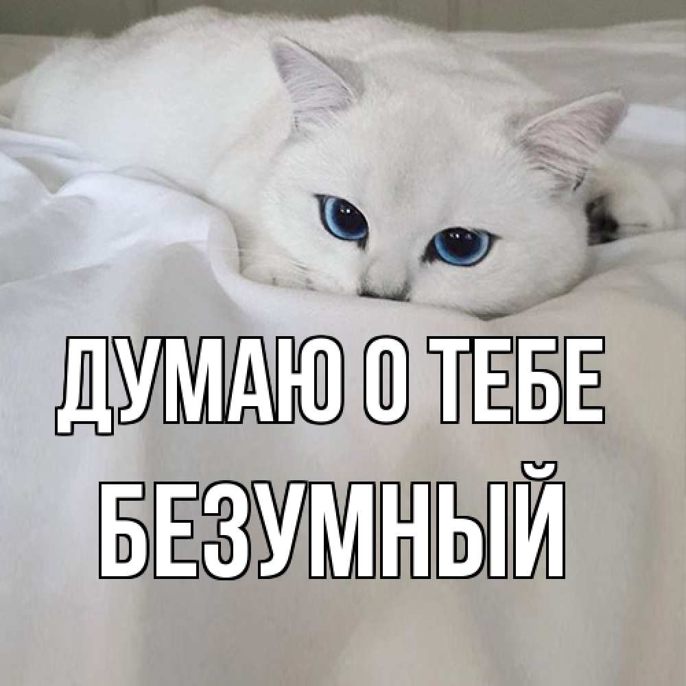 Открытка на каждый день с именем, Безумный Думаю о тебе я очень по тебе скучаю и тоскую Прикольная открытка с пожеланием онлайн скачать бесплатно 