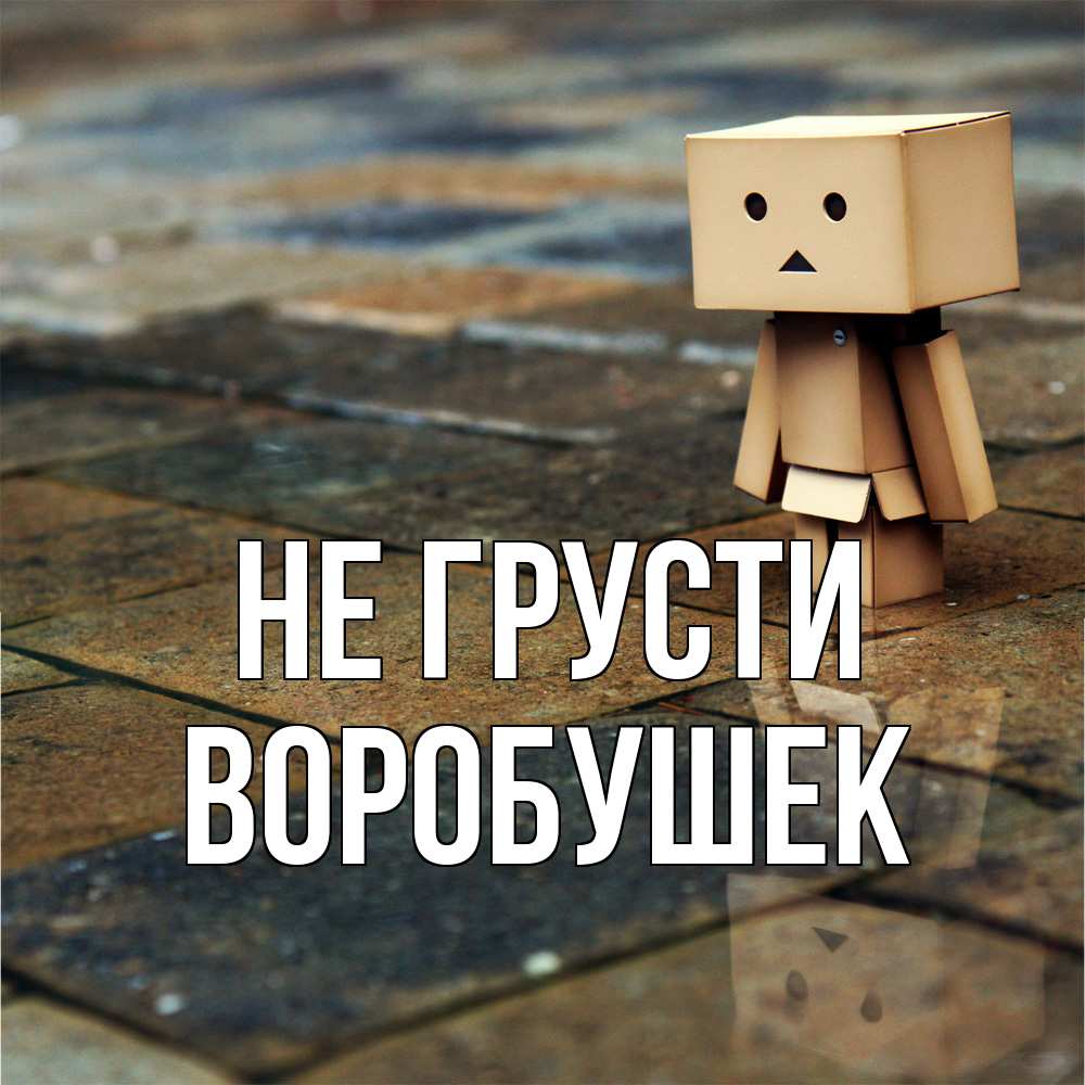 Открытка на каждый день с именем, Воробушек Не грусти Стив Прикольная открытка с пожеланием онлайн скачать бесплатно 