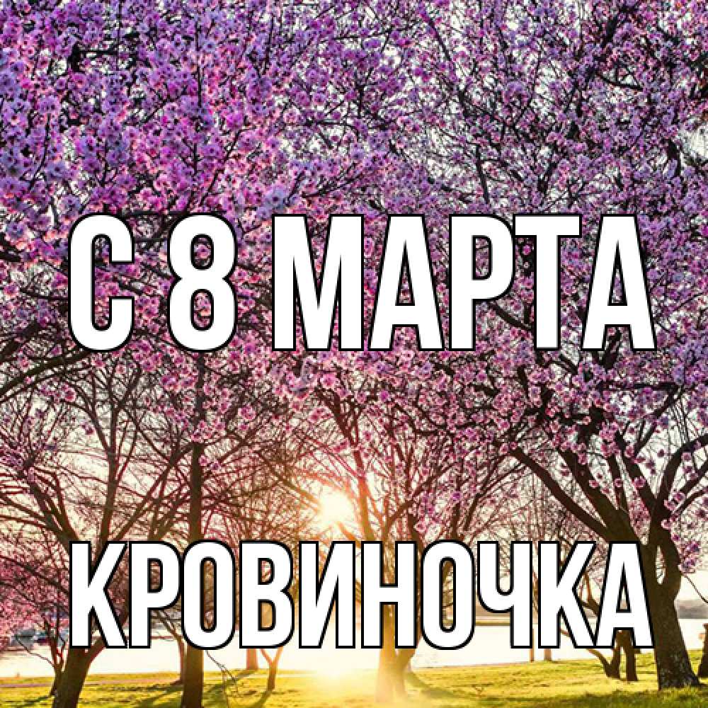 Открытка на каждый день с именем, кровиночка C 8 МАРТА международный женский день Прикольная открытка с пожеланием онлайн скачать бесплатно 