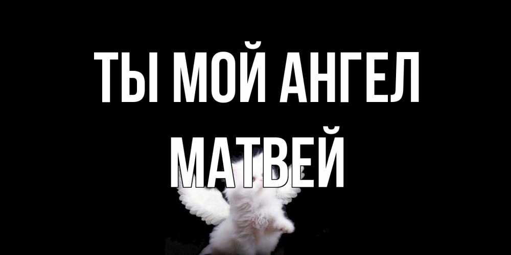 Открытка на каждый день с именем, Матвей Ты мой ангел Кот ангел Прикольная открытка с пожеланием онлайн скачать бесплатно 