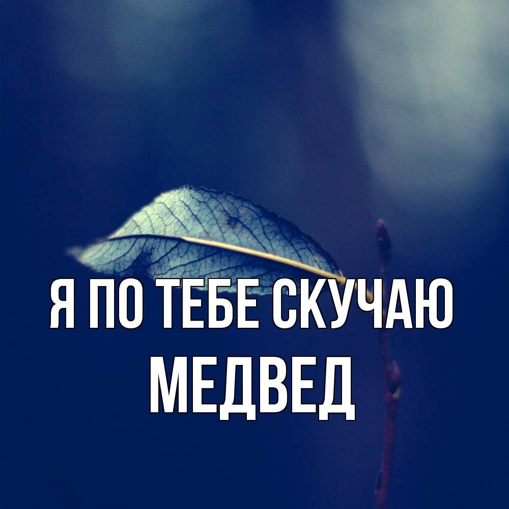 Открытка на каждый день с именем, Медвед Я по тебе скучаю одна ветка 1 Прикольная открытка с пожеланием онлайн скачать бесплатно 