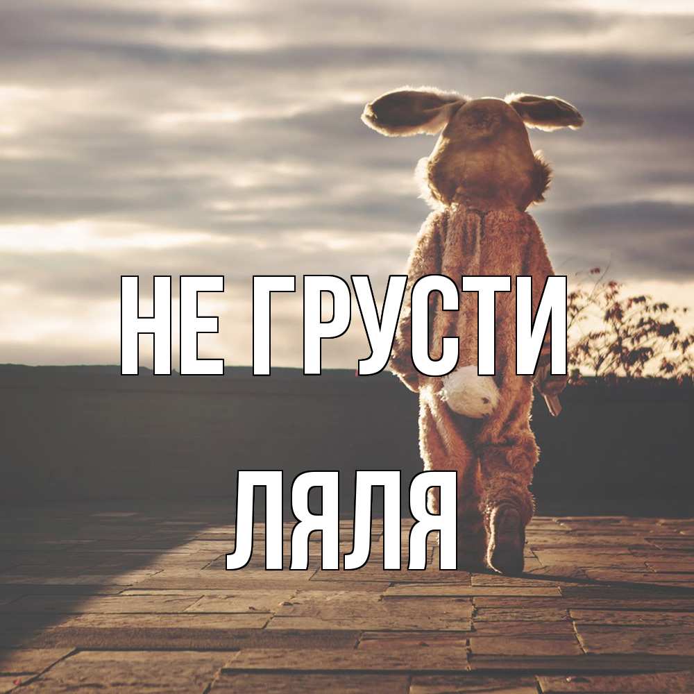 Открытка на каждый день с именем, Ляля Не грусти со спины Прикольная открытка с пожеланием онлайн скачать бесплатно 