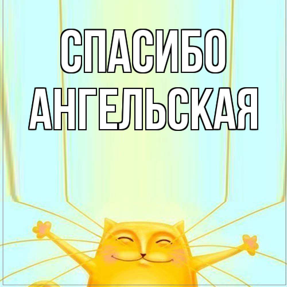 Открытка на каждый день с именем, Ангельская Спасибо кот с усами благодарит Прикольная открытка с пожеланием онлайн скачать бесплатно 