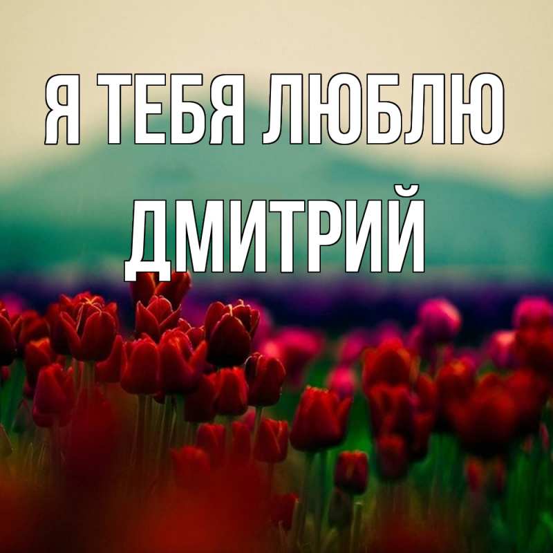 Картинка Я тебя люблю, Дмитрий