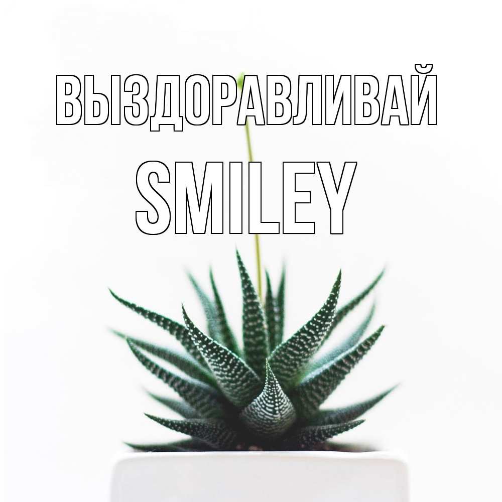 Открытка на каждый день с именем, Smiley Выздоравливай короче это непонятная колючка Прикольная открытка с пожеланием онлайн скачать бесплатно 