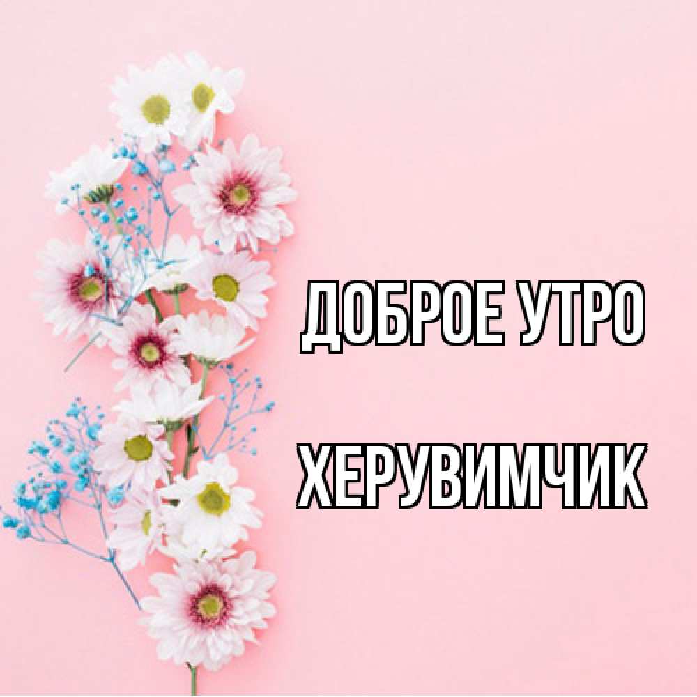 Открытка на каждый день с именем, Хеpувимчик Доброе утро цветы с подписью Прикольная открытка с пожеланием онлайн скачать бесплатно 