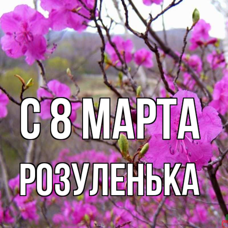 Картинка C 8 МАРТА, Розуленька