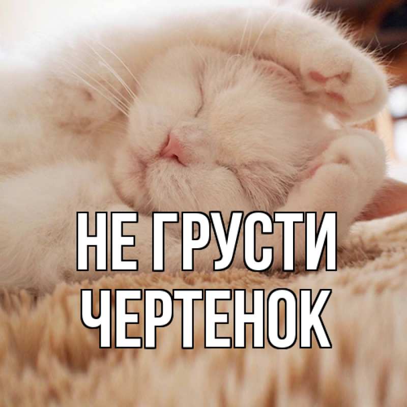 Картинка Не грусти, чеpтенок