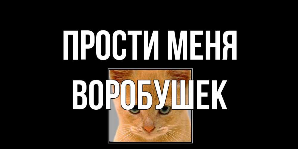 Открытка на каждый день с именем, Воробушек Прости меня рыжий грустный кот просит прощения Прикольная открытка с пожеланием онлайн скачать бесплатно 