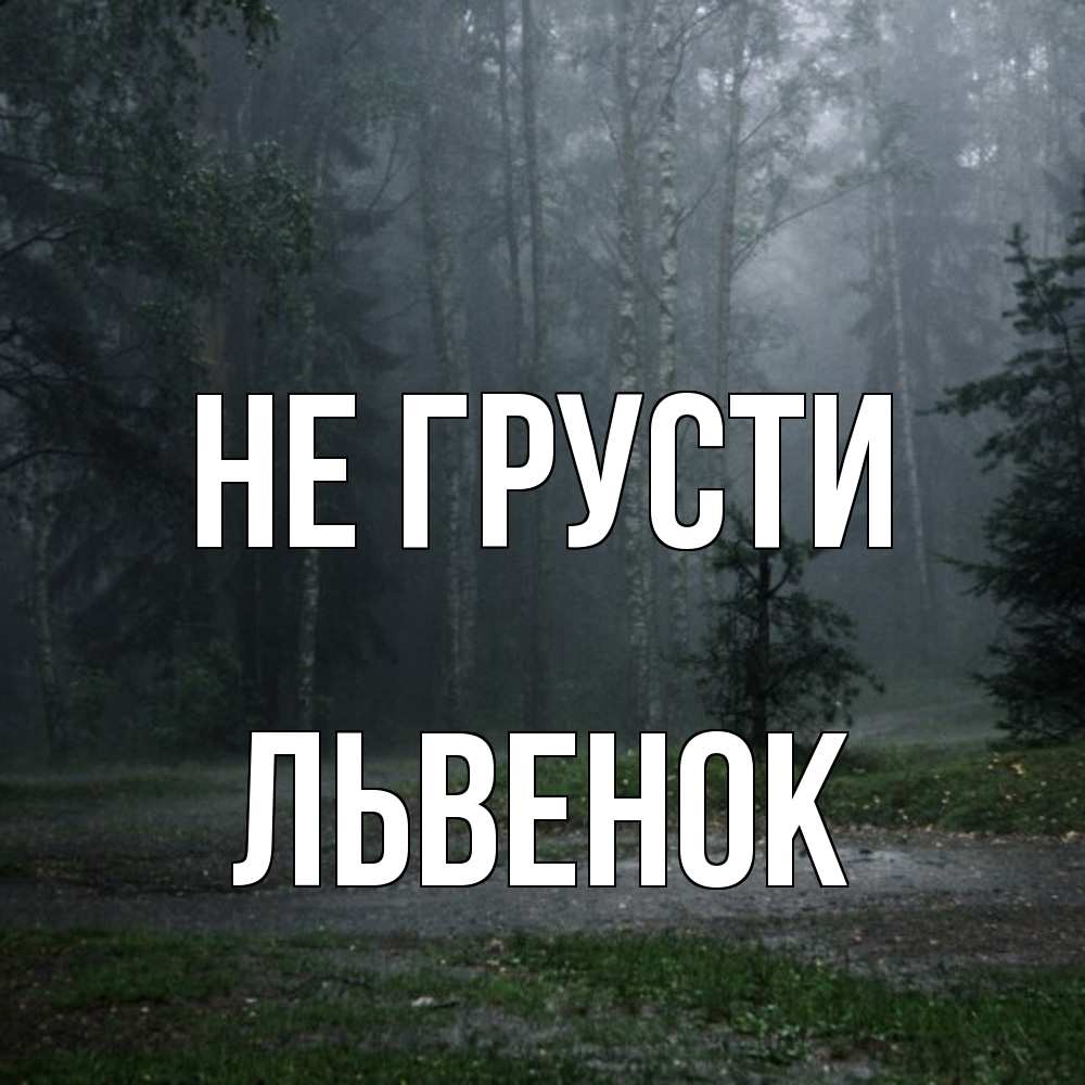 Открытка на каждый день с именем, Львенок Не грусти осень Прикольная открытка с пожеланием онлайн скачать бесплатно 