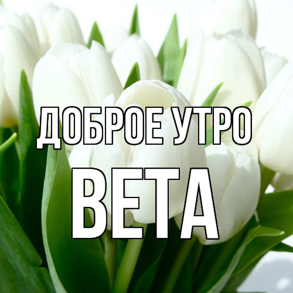 Открытка на каждый день с именем, Вета Доброе утро открытки на каждый день по именам Прикольная открытка с пожеланием онлайн скачать бесплатно 