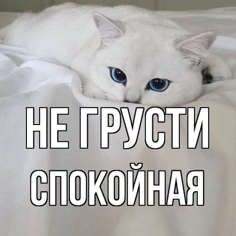 Картинка Не грусти, спокойная