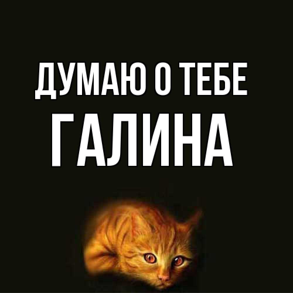 Открытка на каждый день с именем, галина Думаю о тебе рыжий Прикольная открытка с пожеланием онлайн скачать бесплатно 