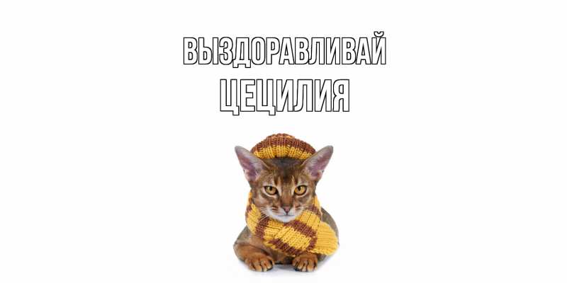 Картинка Выздоравливай, Цецилия