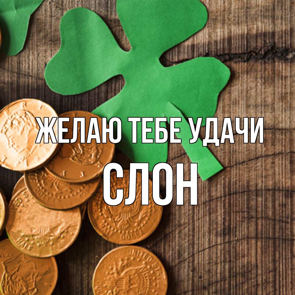 Открытка на каждый день с именем, Слон Желаю тебе удачи деревянный фон Прикольная открытка с пожеланием онлайн скачать бесплатно 