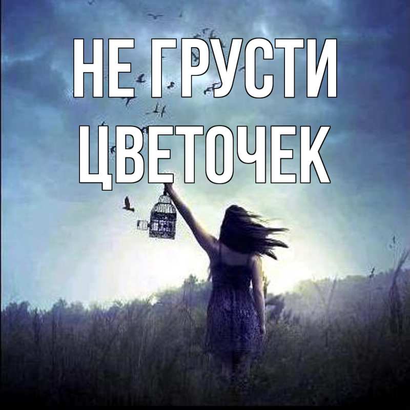 Картинка Не грусти, Цветочек