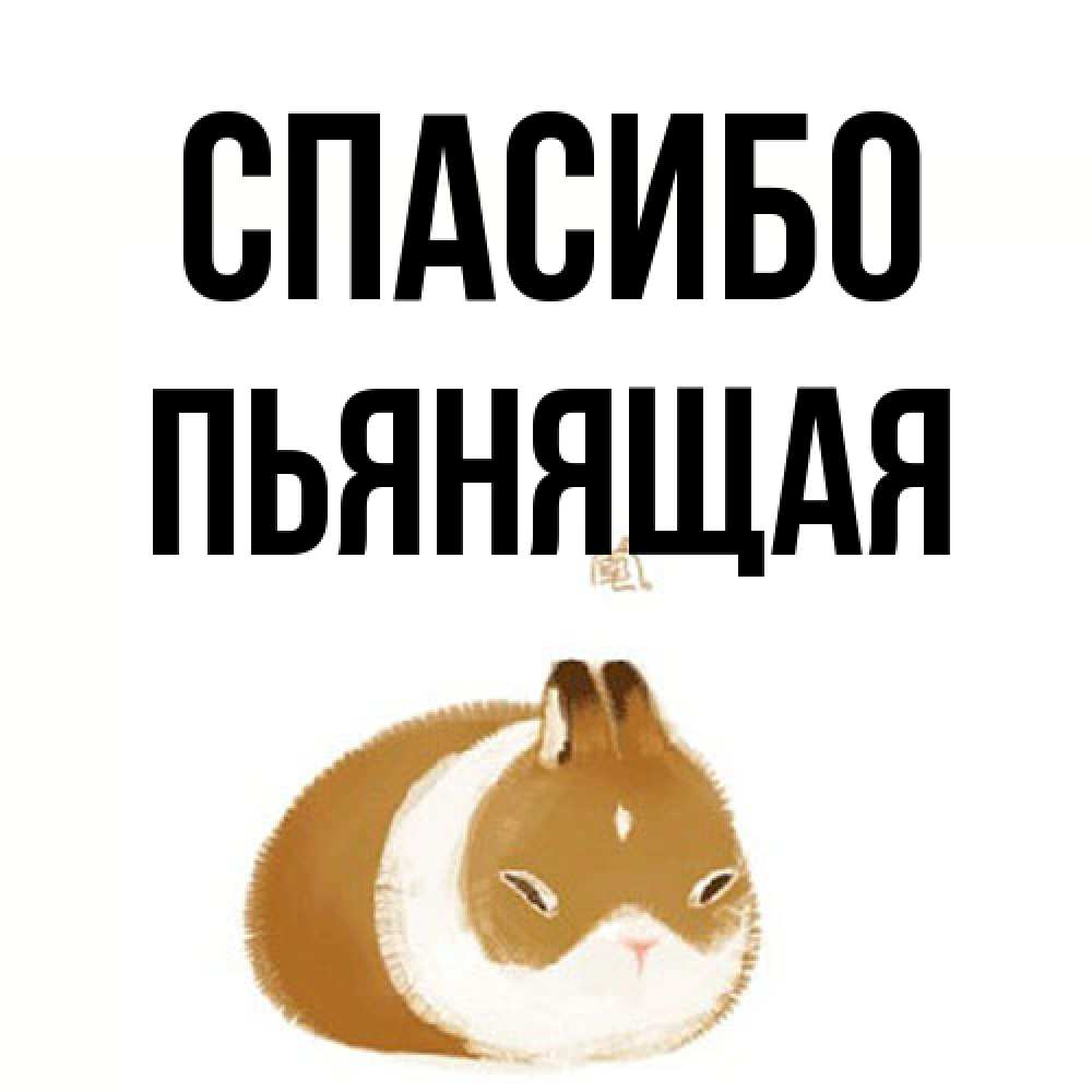 Открытка на каждый день с именем, Пьянящая Спасибо коричнево белый домашний питомец Прикольная открытка с пожеланием онлайн скачать бесплатно 