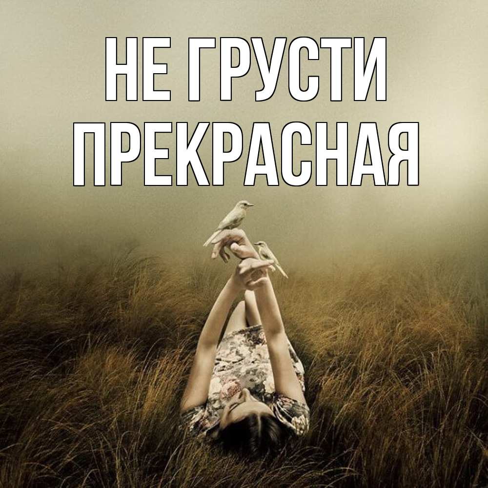 Открытка на каждый день с именем, Пpекpасная Не грусти поле и туман Прикольная открытка с пожеланием онлайн скачать бесплатно 