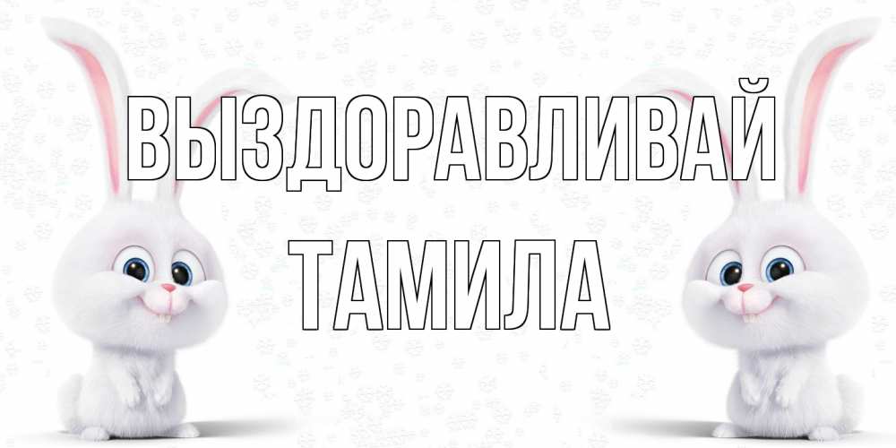 Открытка на каждый день с именем, ТАМИЛА Выздоравливай не болей с зайцем Прикольная открытка с пожеланием онлайн скачать бесплатно 