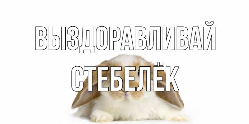 Картинка Выздоравливай, Стебелёк