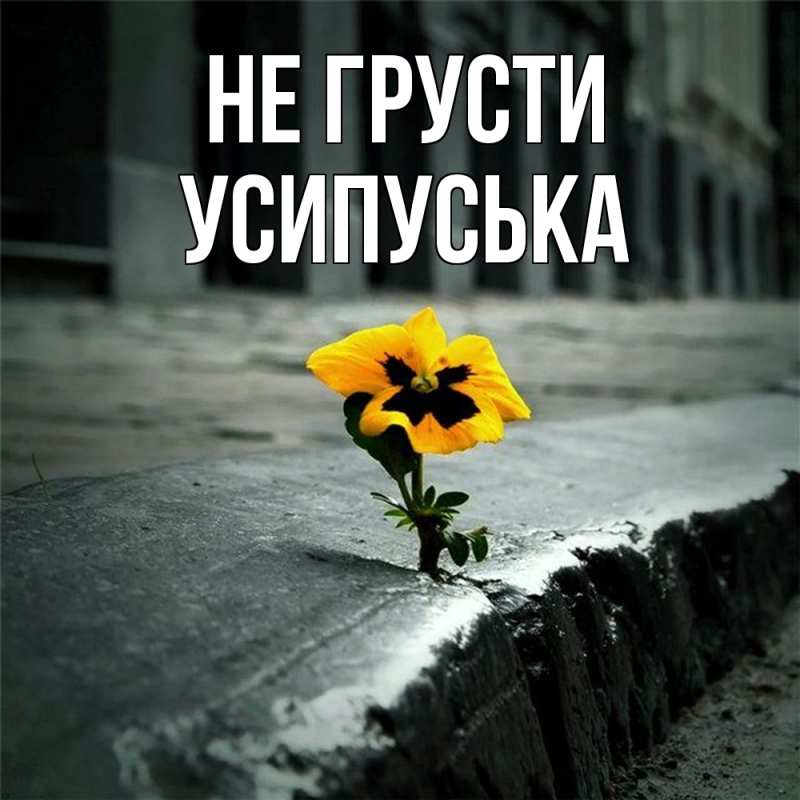 Картинка Не грусти, усипуська