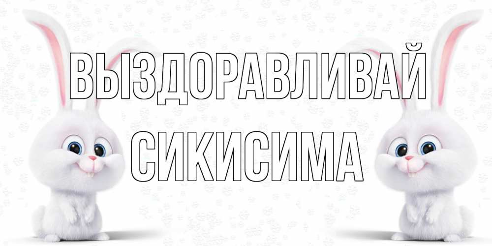 Открытка на каждый день с именем, Сикисима Выздоравливай не болей с зайцем Прикольная открытка с пожеланием онлайн скачать бесплатно 