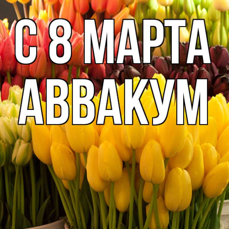 Картинка C 8 МАРТА, Аввакум
