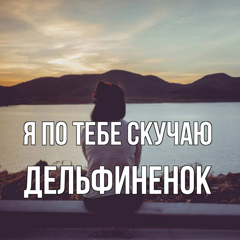 Картинка Я по тебе скучаю, дельфиненок