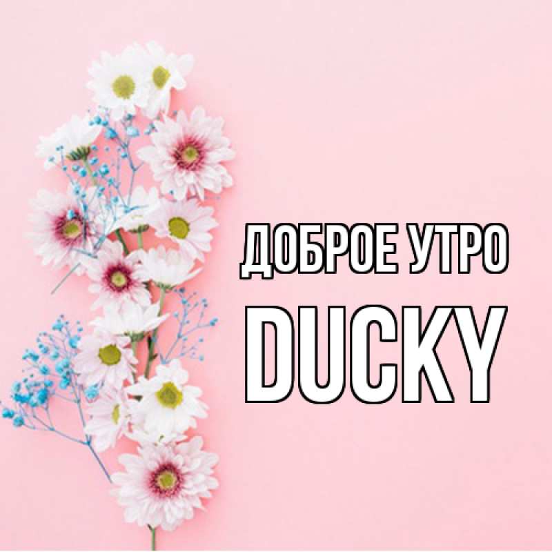 Картинка Доброе утро, Ducky