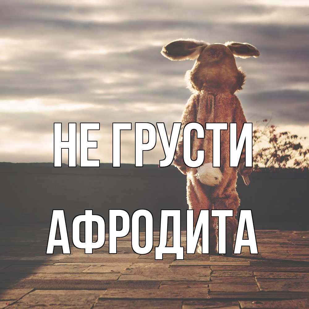 Открытка на каждый день с именем, Афродита Не грусти со спины Прикольная открытка с пожеланием онлайн скачать бесплатно 